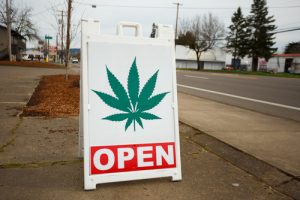 IRS Audits Marijuana Business