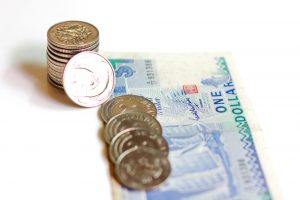Foreign currency in paper and coin form