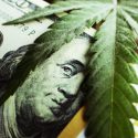FinCEN Form 8300 and the Marijuana Industry:  The Electric Company Complex